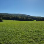 IMG-20250920-WA0025